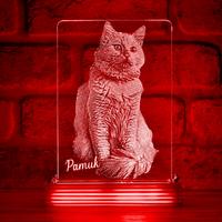 Evcil Hayvan Kedi Sahiplerine Hediye Kişiye Özel 3D Lamba