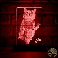 Evcil Kedi Sahiplerine Hediye Fotoğraflı 3D Lamba
