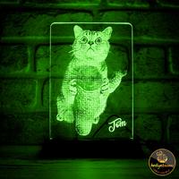 Evcil Kedi Sahiplerine Hediye Fotoğraflı 3D Lamba