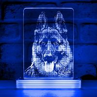 Köpek Sahiplerine Hediye Hayvanseverlere Hediye 3D Lamba