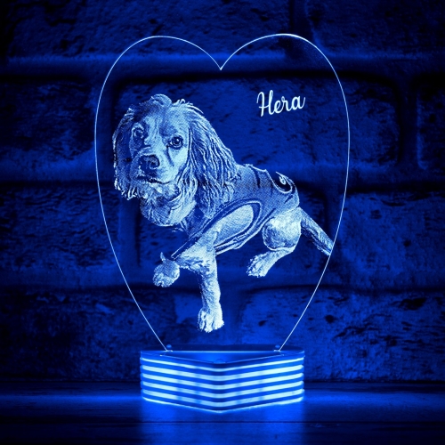 Evcil Hayvan Sahiplerine Urunleri 3d Lamba Ve 2019 Un En Mukemmel Hediyeleri Hediye Kovani